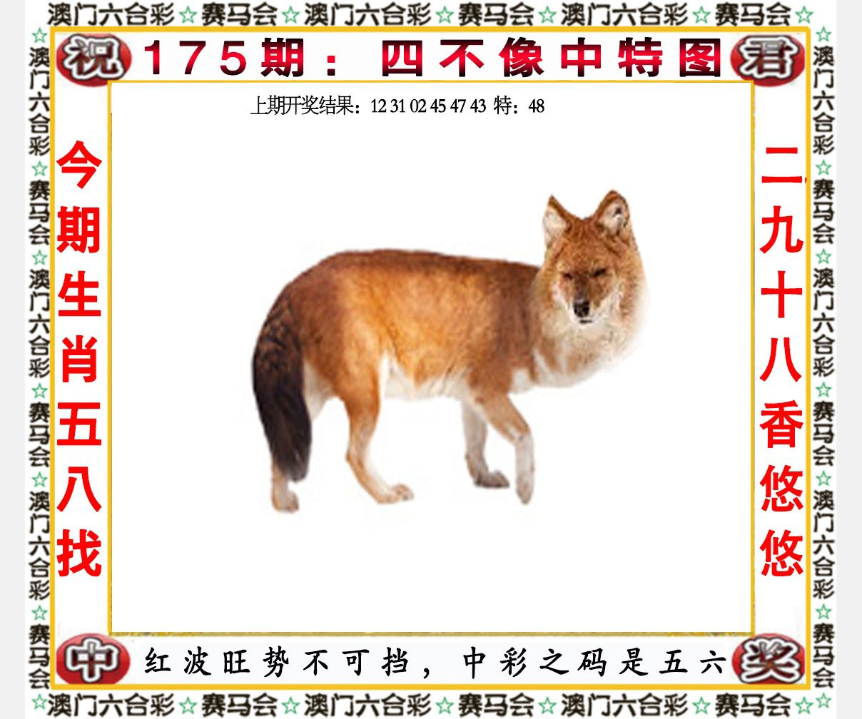 2024175期四不像中特图