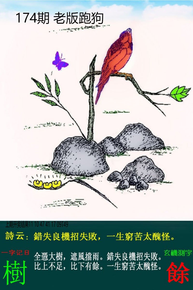 2024174期老板跑狗