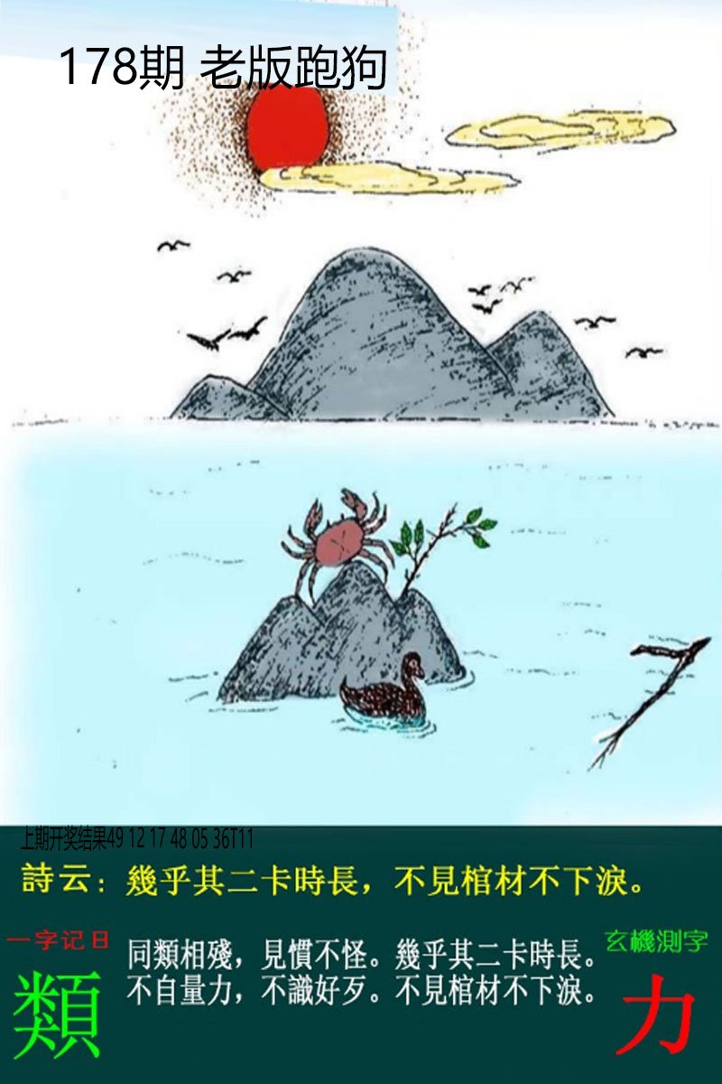2024178期老板跑狗