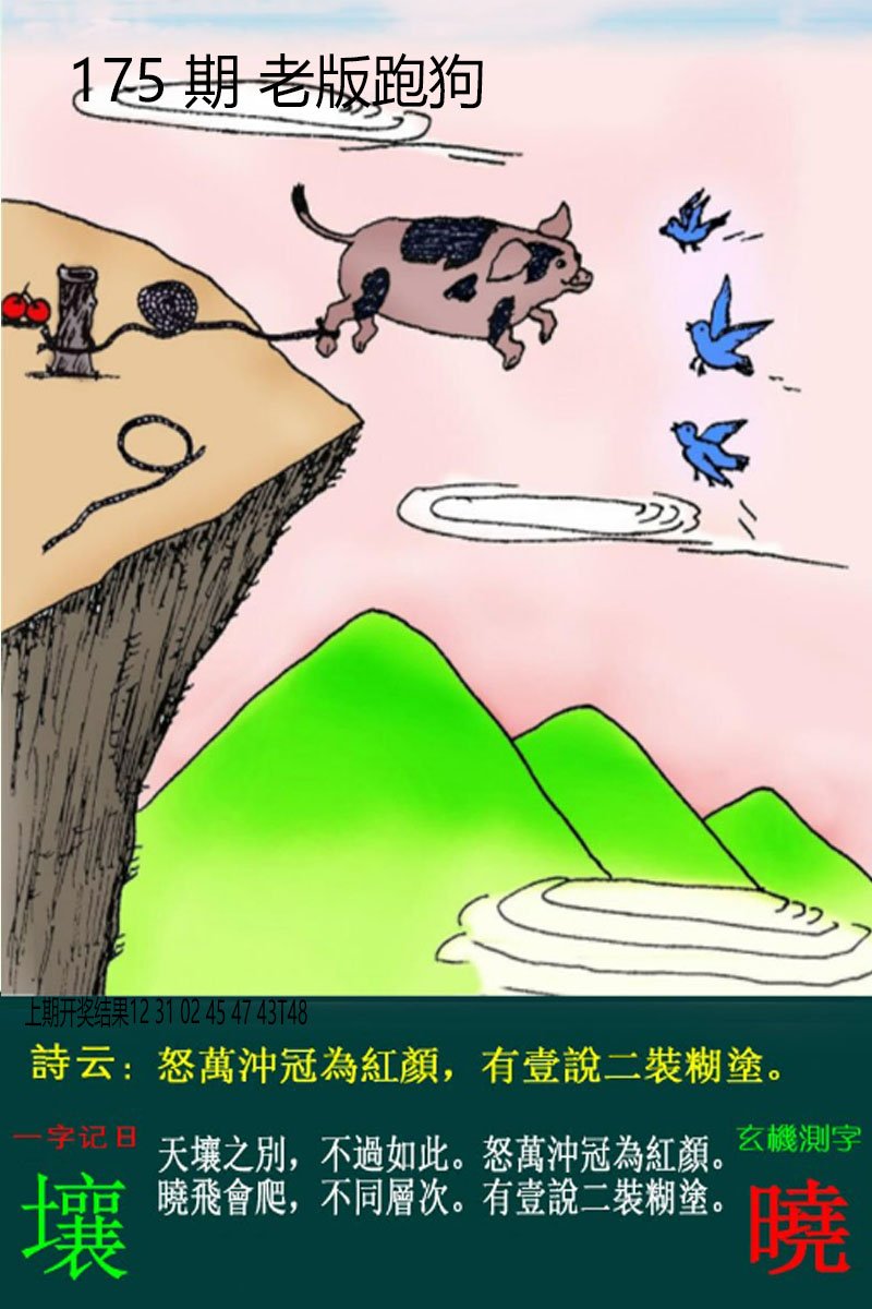 2024175期老板跑狗