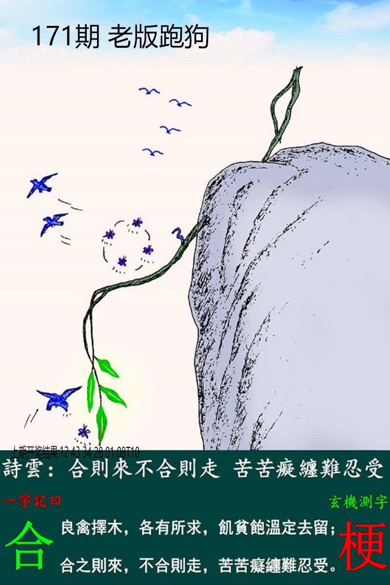 2024171期老板跑狗