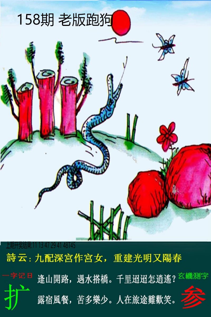 2024158期老板跑狗