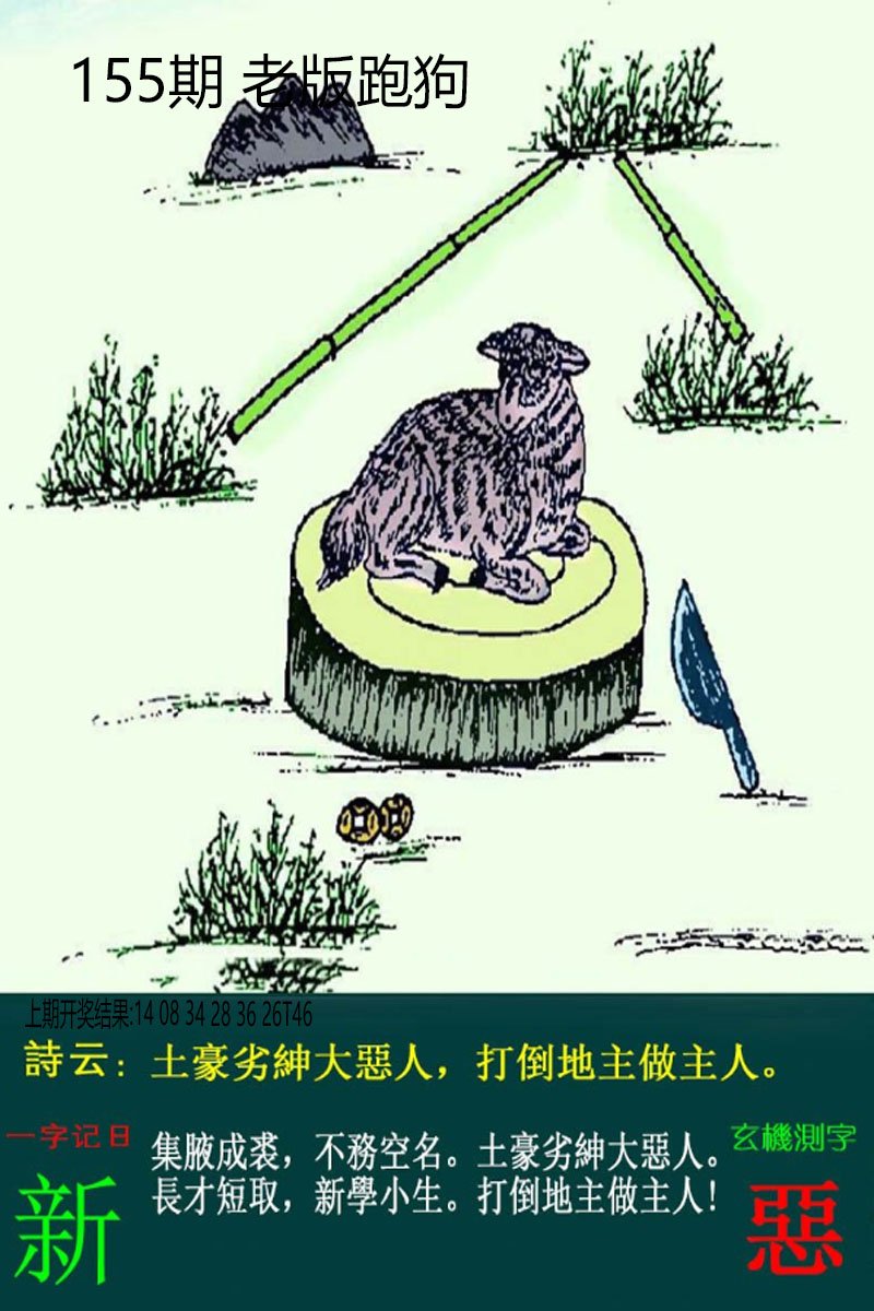 2024155期老板跑狗