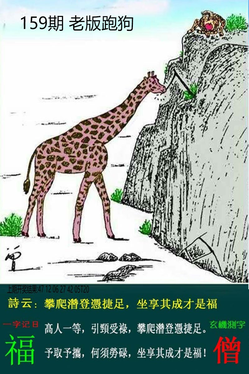 2024159期老板跑狗