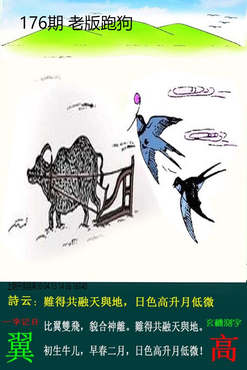2024176期老板跑狗