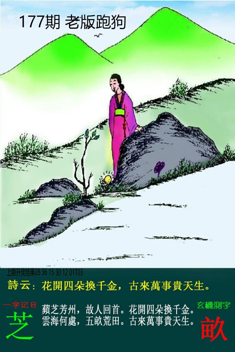 2024177期老板跑狗