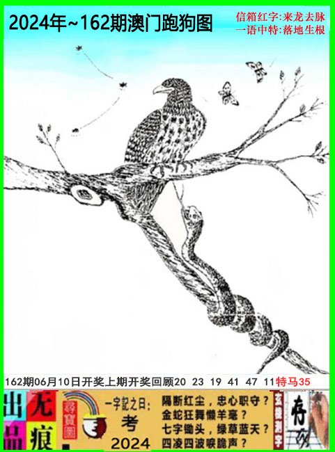 2024162期澳门跑狗无痕版