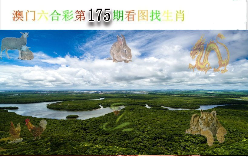 2024175期看图找生肖
