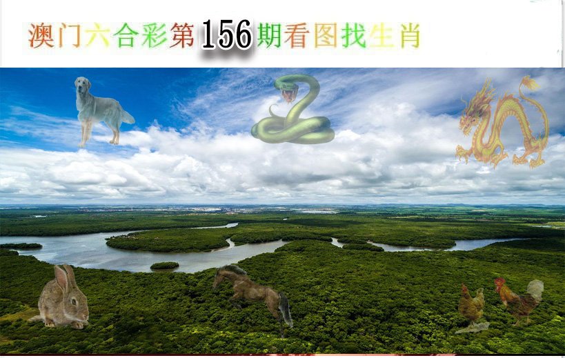 2024156期看图找生肖