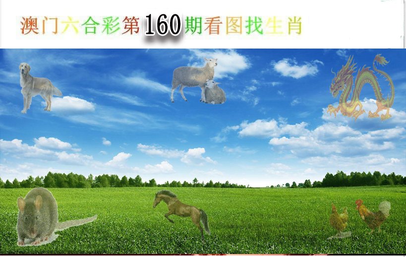 2024160期看图找生肖