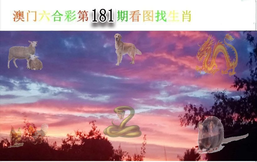 2024181期看图找生肖
