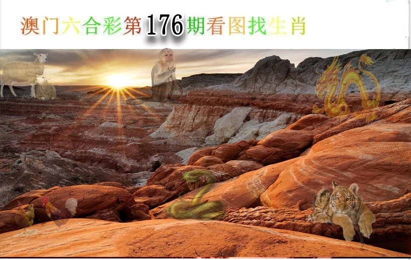 2024176期看图找生肖