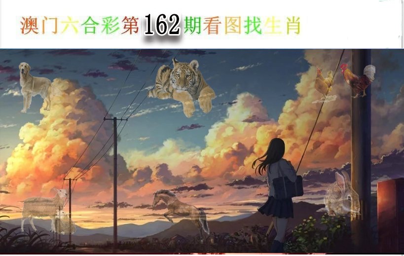 2024162期看图找生肖