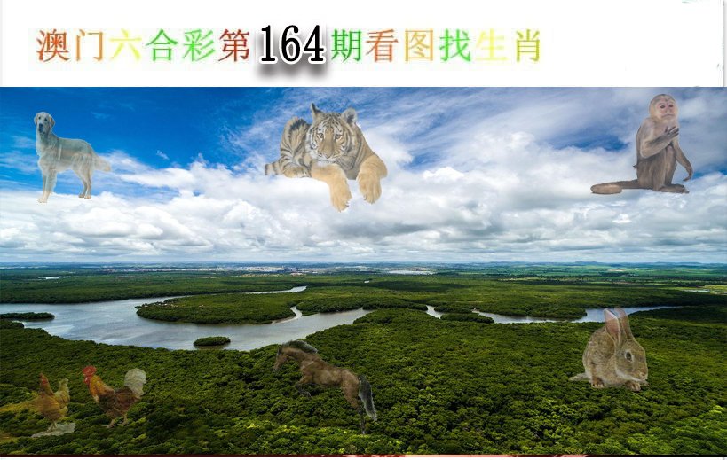 2024164期看图找生肖