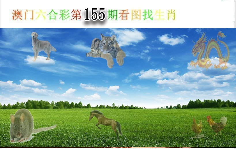 2024155期看图找生肖