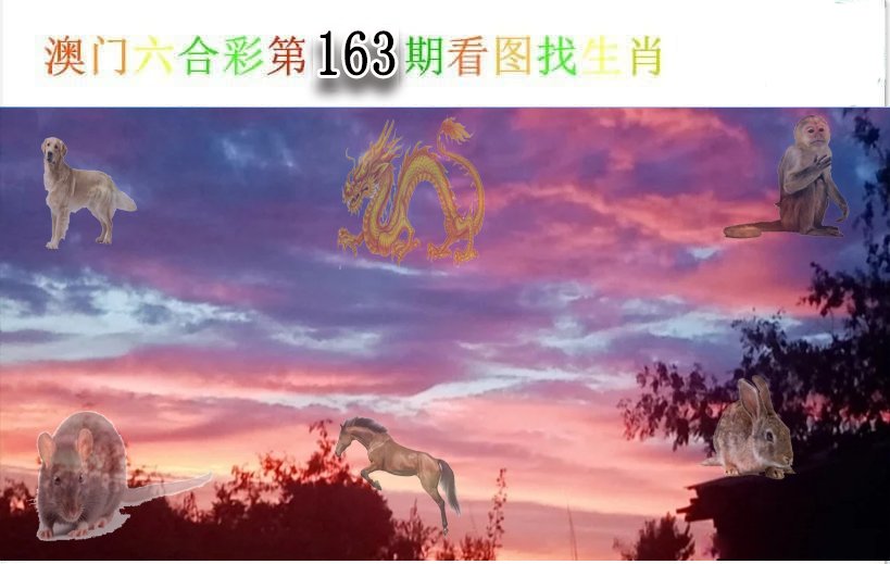 2024163期看图找生肖