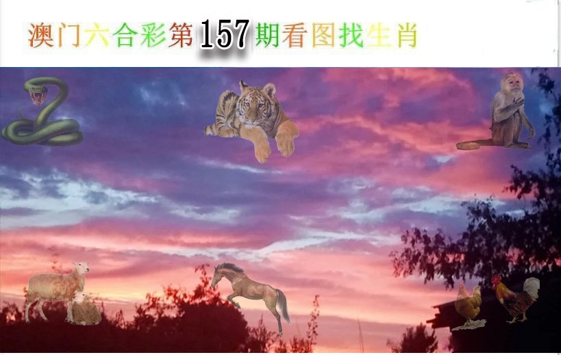 2024157期看图找生肖