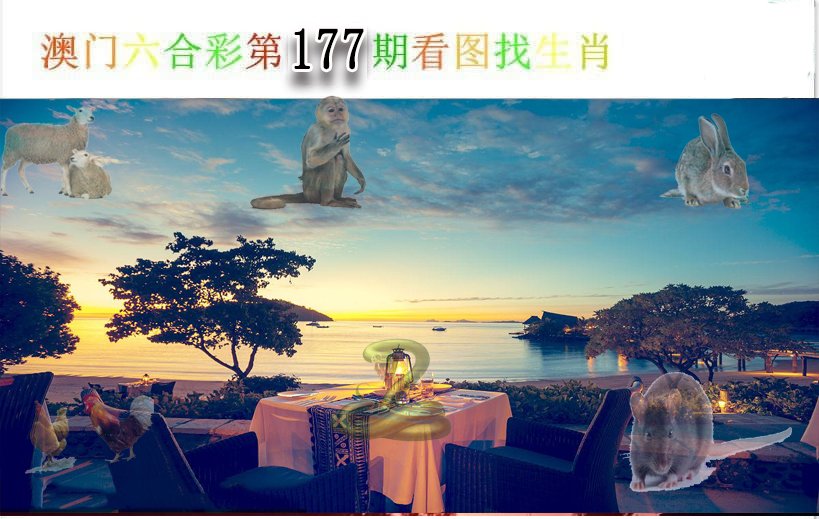 2024177期看图找生肖
