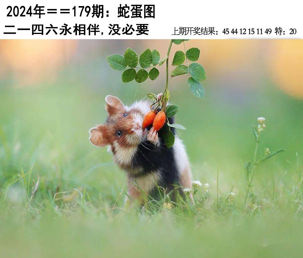 2024179期另版蛇蛋图