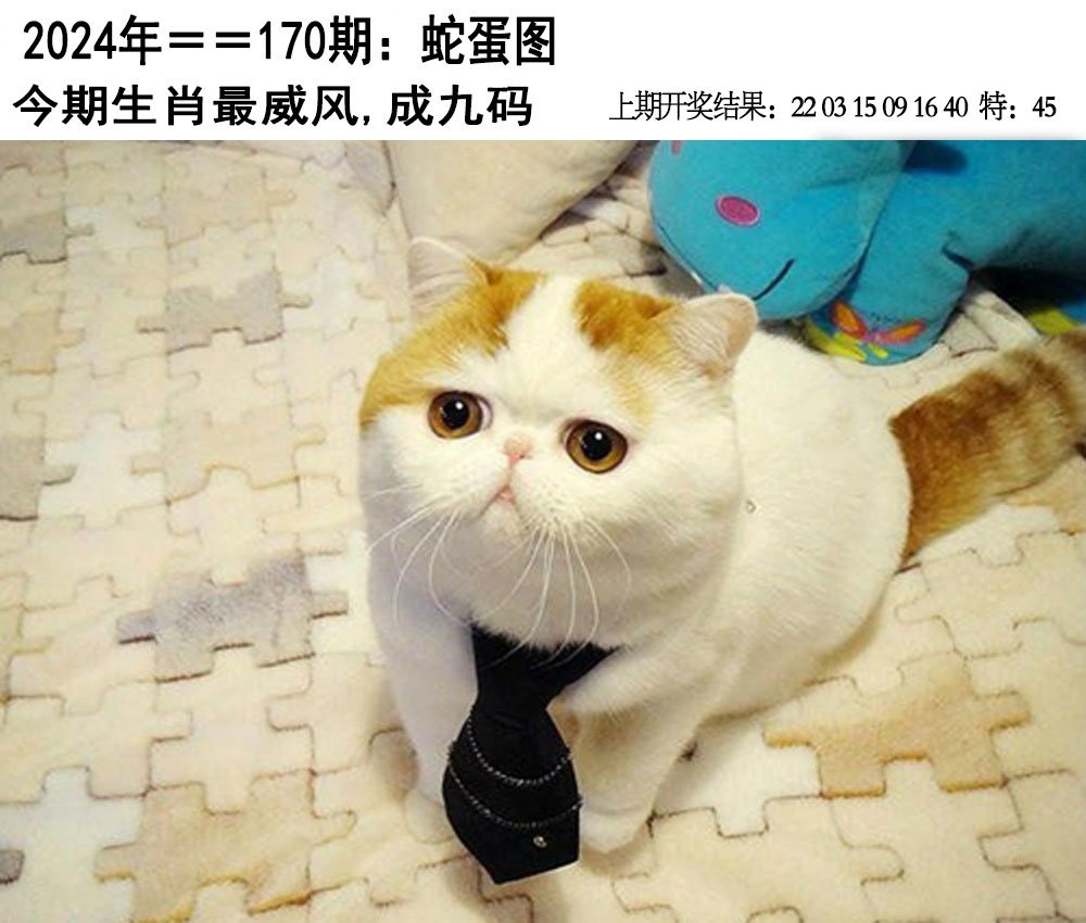 2024170期另版蛇蛋图