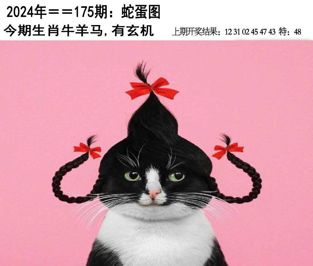 2024175期另版蛇蛋图