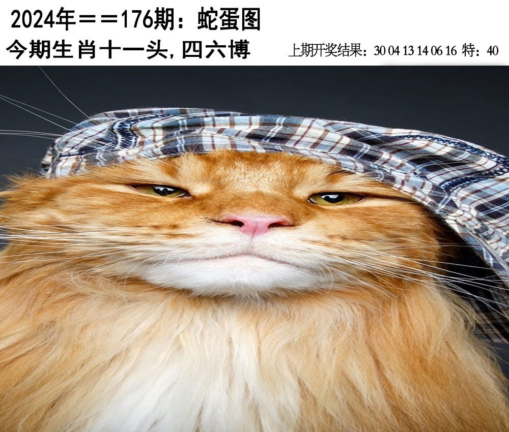 2024176期另版蛇蛋图