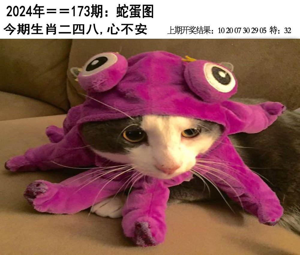 2024173期另版蛇蛋图