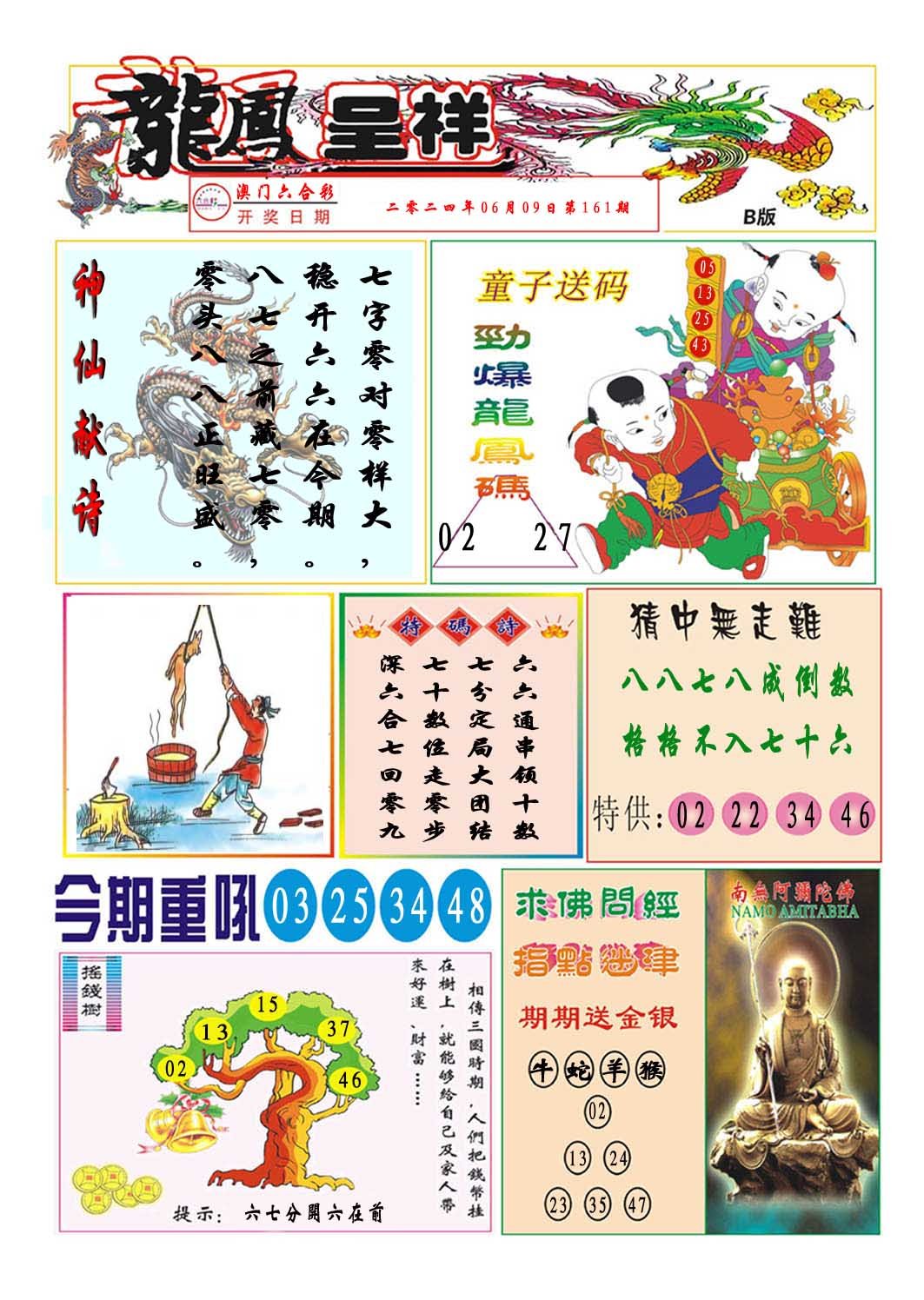 2024161期龙凤呈祥B