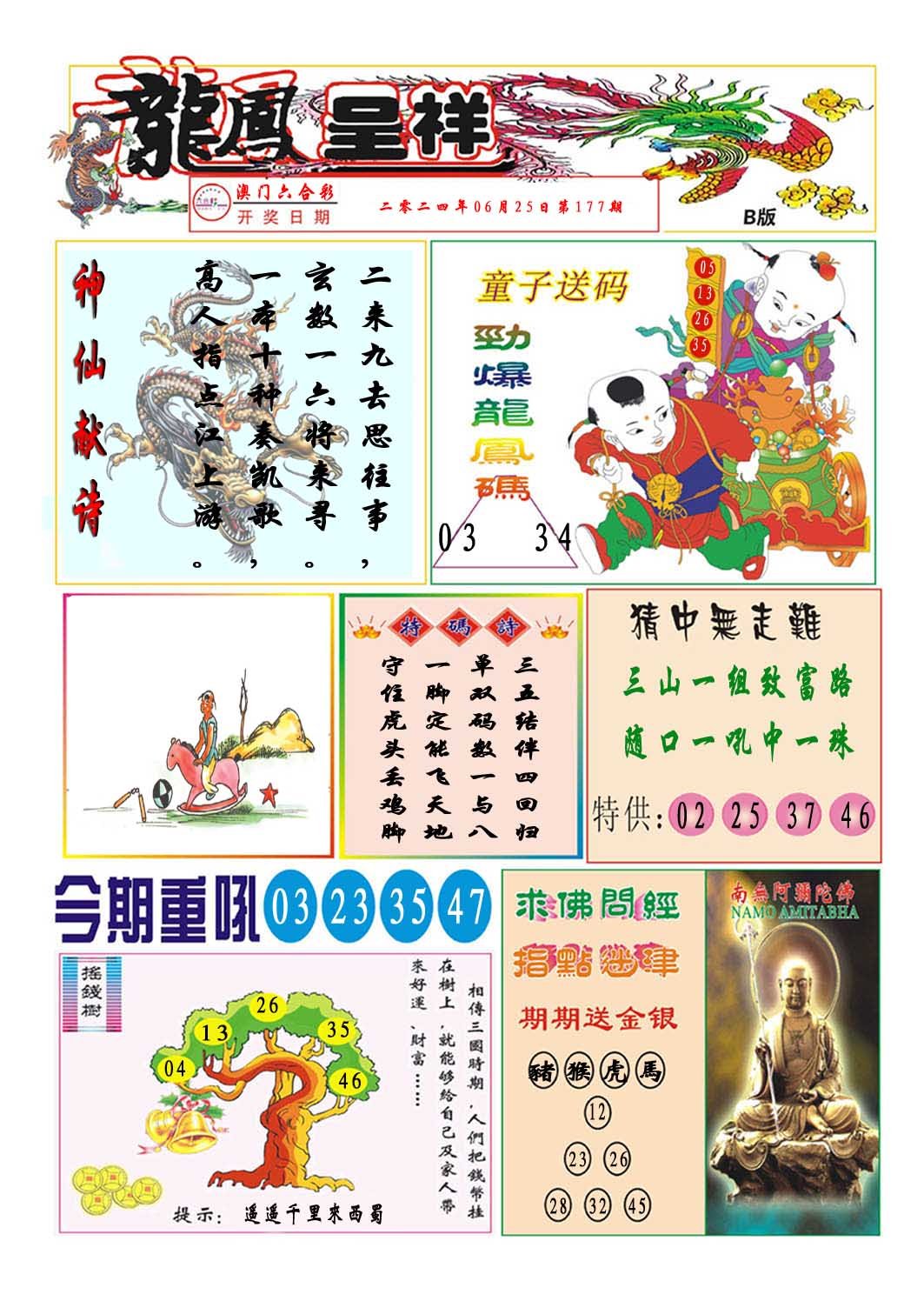 2024177期龙凤呈祥B