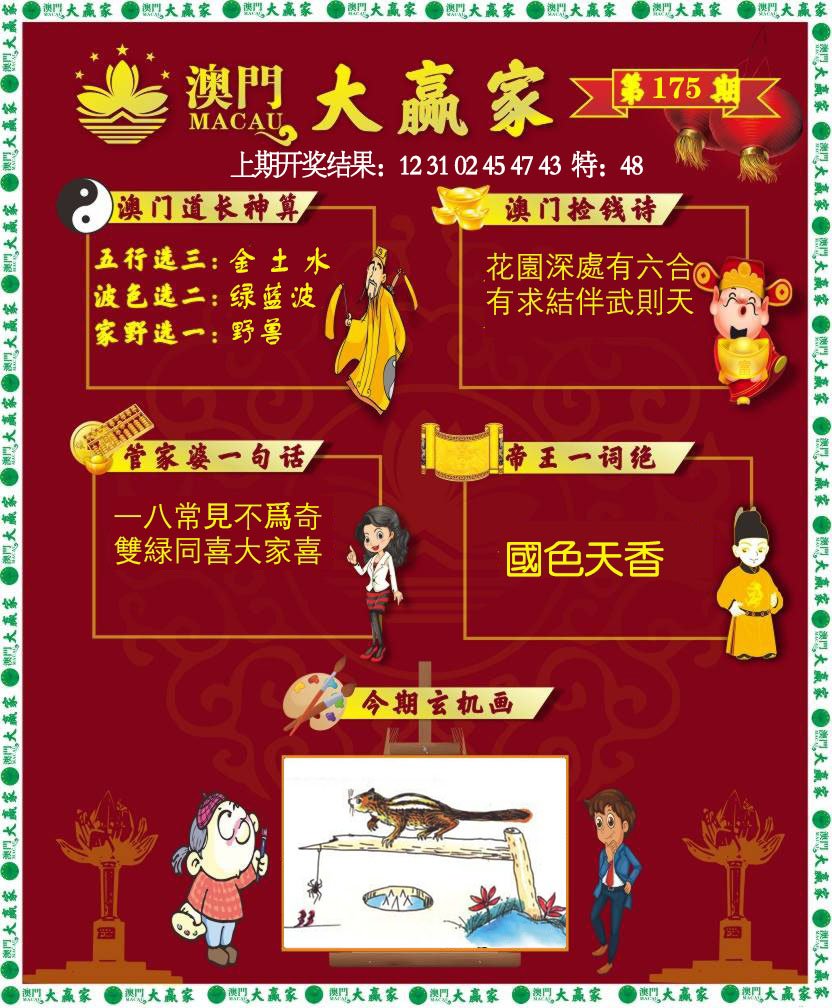 2024175期大赢家