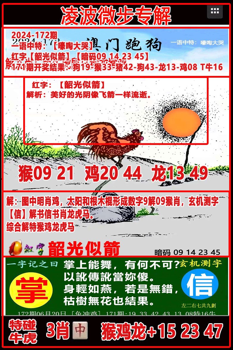 2024172期凌波微步