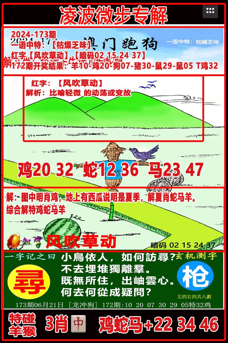 2024173期凌波微步