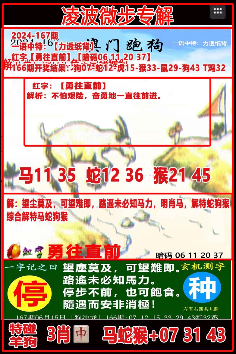 2024167期凌波微步