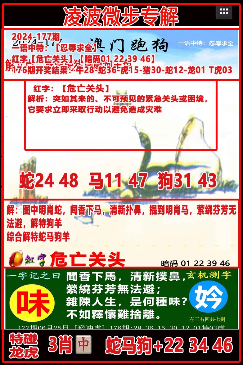 2024177期凌波微步