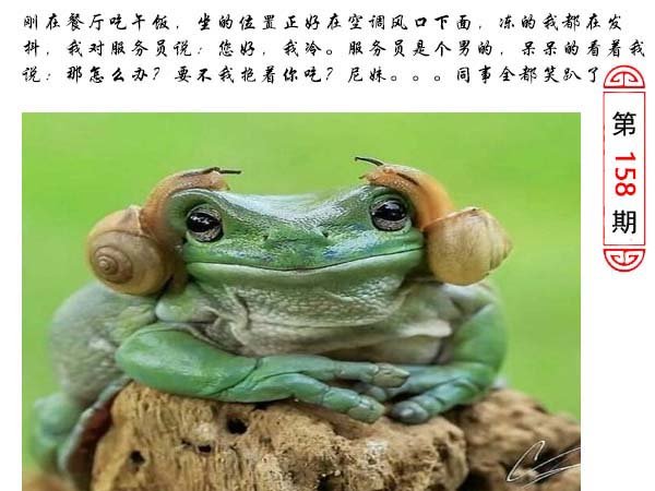 2024158期澳门生活幽默