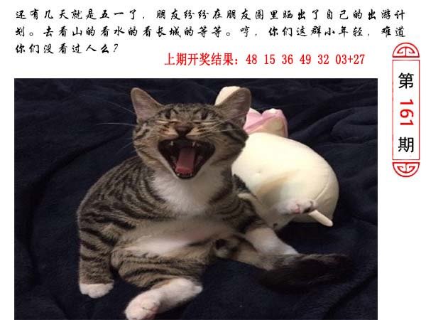 2024161期澳门生活幽默