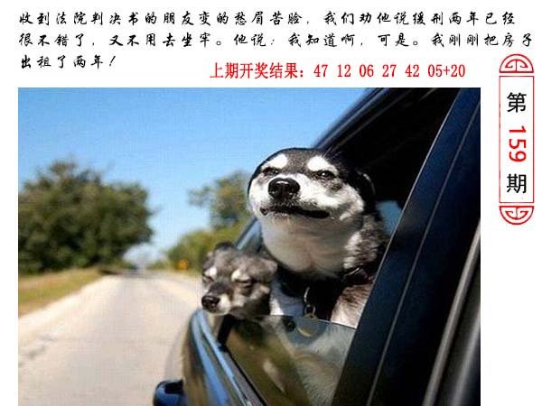 2024159期澳门生活幽默