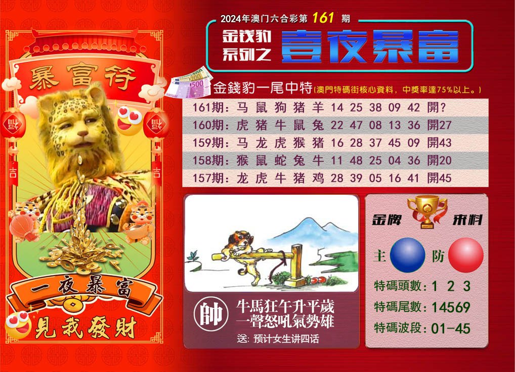 2024161期一夜暴富