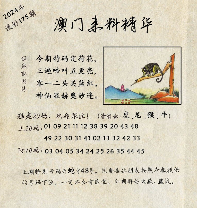 2024175期澳门来料精华