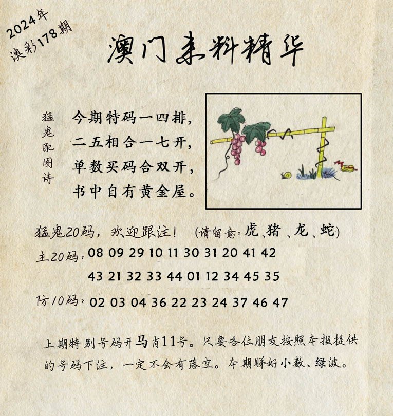 2024178期澳门来料精华
