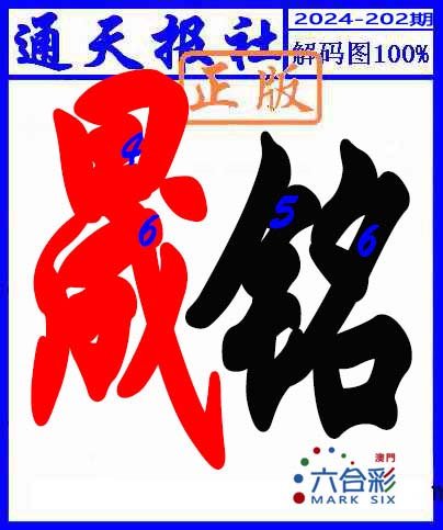 2024202期解码图