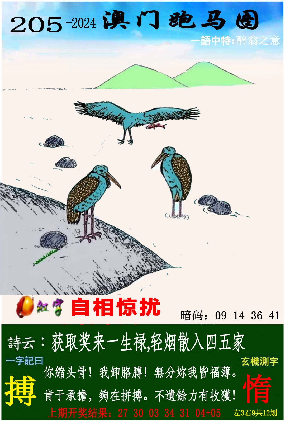 2024205期跑马图