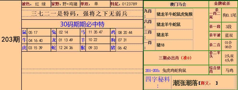 2024203期30码中特