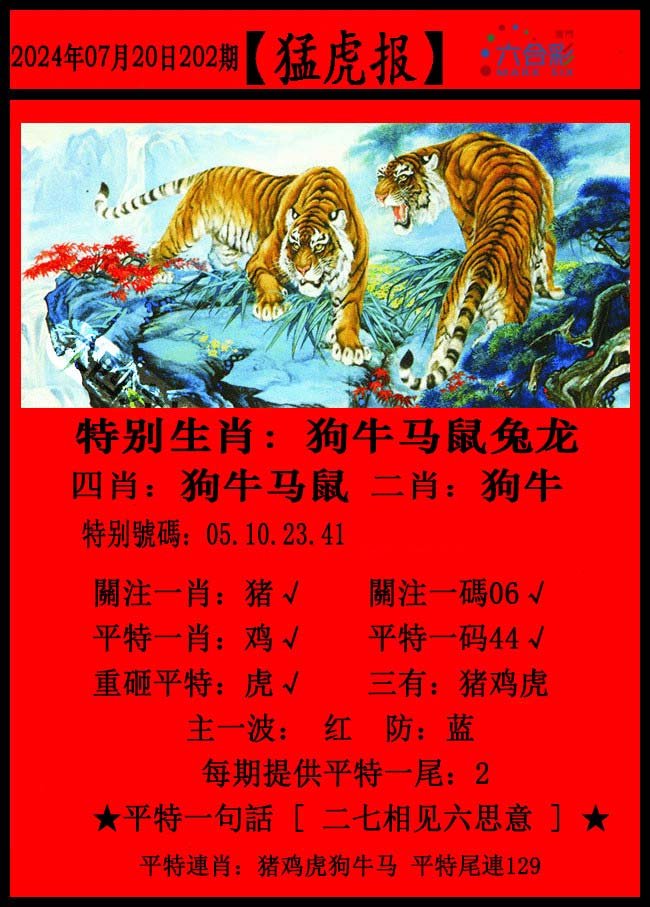 2024202期猛虎报