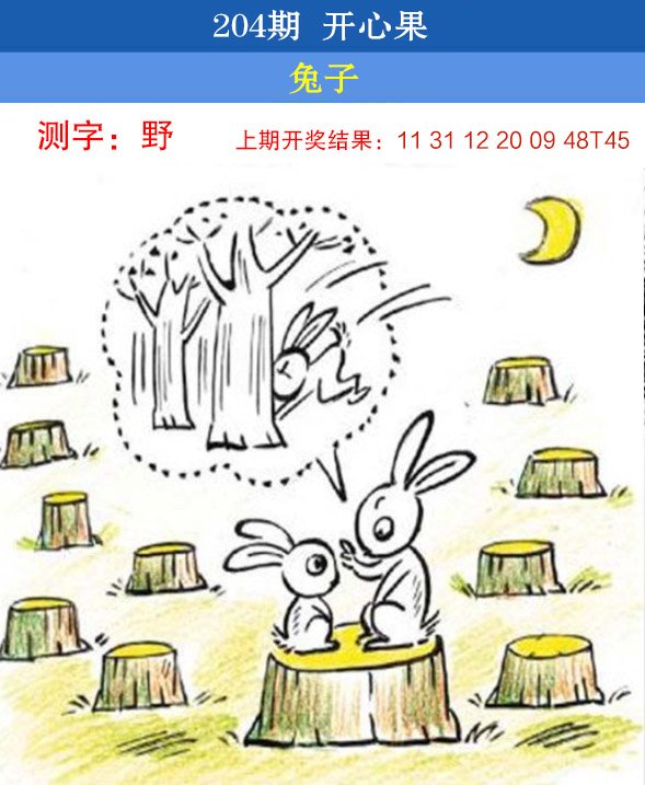 2024204期开心果