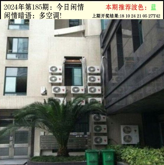2024185期今日闲情2