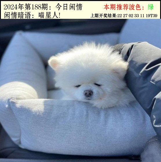 2024188期今日闲情2