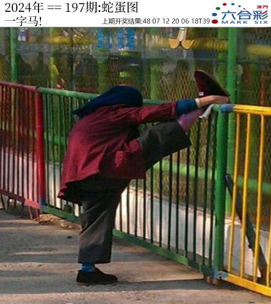 2024197期正版蛇蛋图