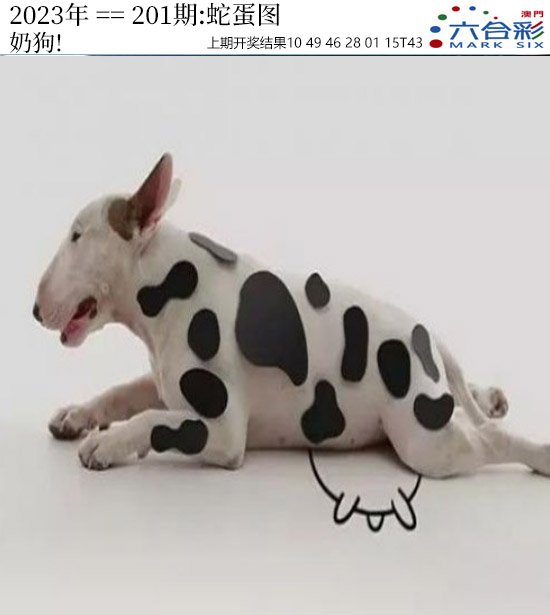 2024201期正版蛇蛋图