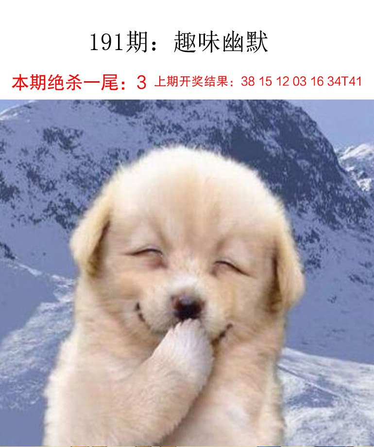 2024191期趣味幽默